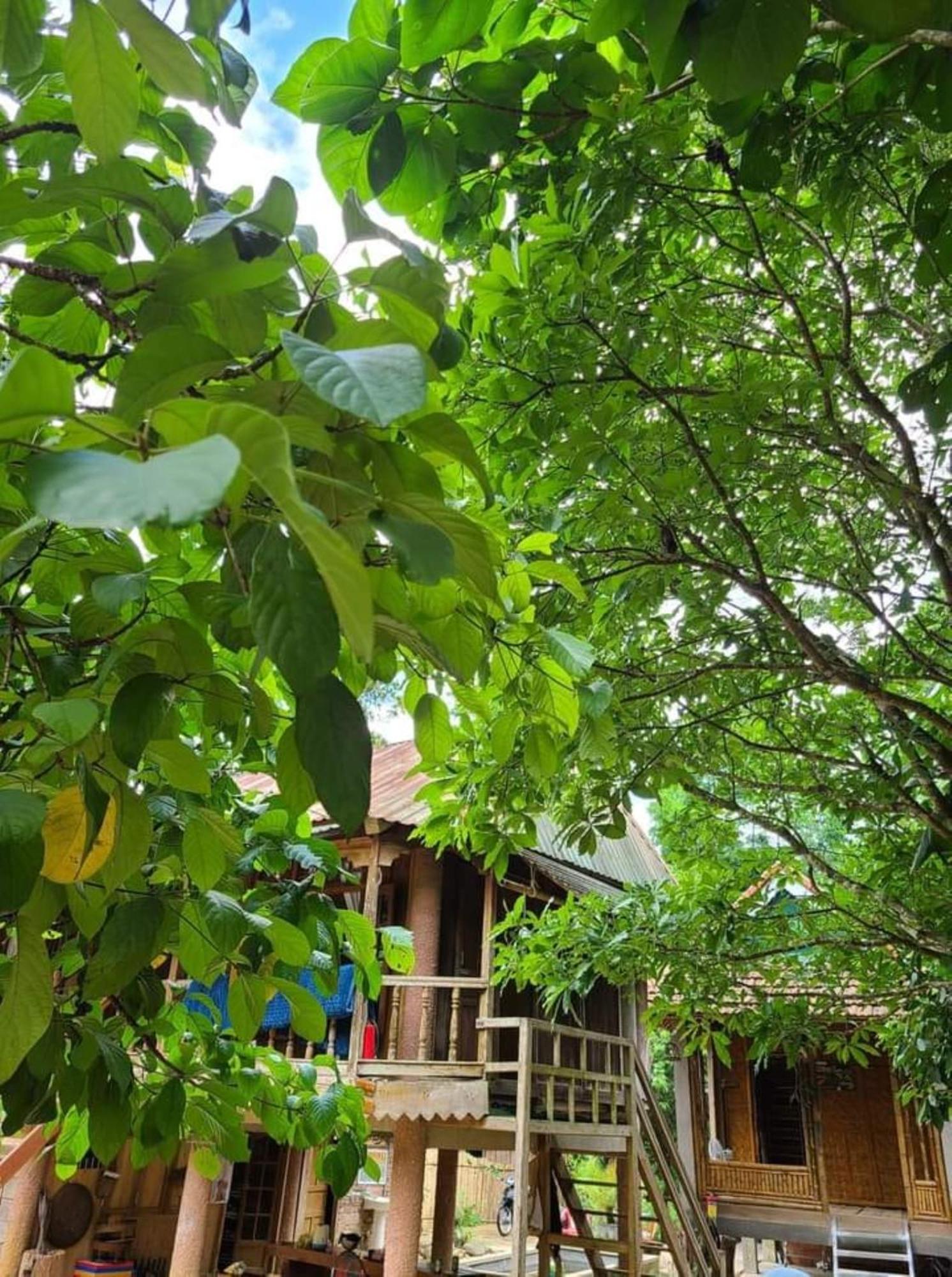 Homestay Ho Son - Thac Anor A Luoi Dış mekan fotoğraf